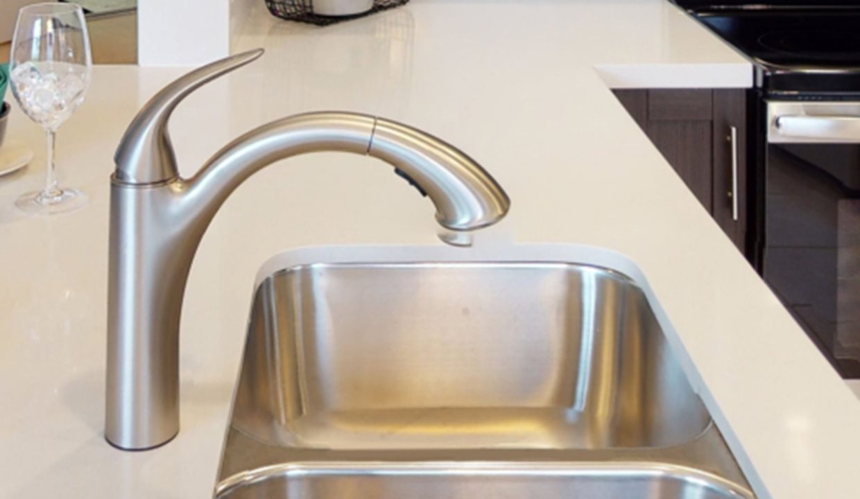 DAH_AquabellaBlossom_PIC_Kelby_Kitchen4_Matterport_F1