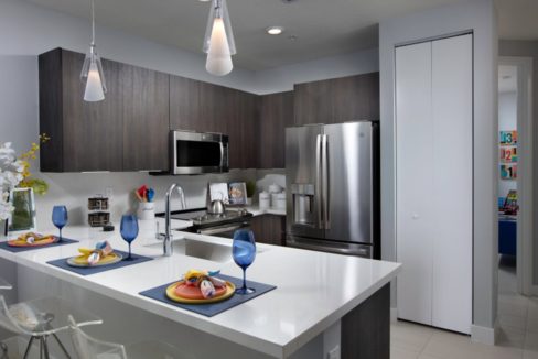 DAH_Condominiums_Landmark_Pic_Model_D_Kitchen1_F1