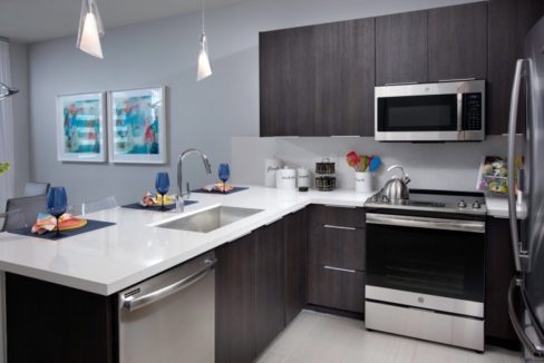 DAH_Condominiums_Landmark_Pic_Model_D_Kitchen2_F1_1