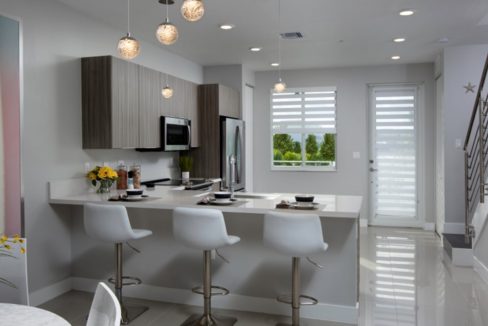 DAH_Condominiums_Landmark_Pic_Model_E_Kitchen2_F1