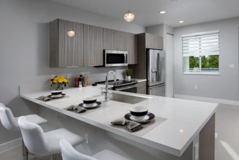 DAH_Condominiums_Landmark_Pic_Model_E_Kitchen3_F1_1